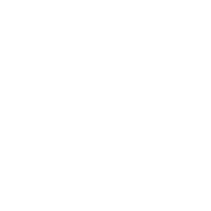 Tiericons-04 Icon Büffel und Stier